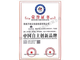 中國(guó)自主創(chuàng)新品牌